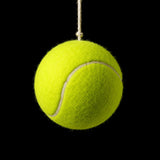 Hanging Tennis Ball