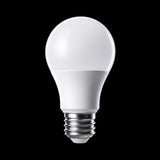 Conventional Ceiling Bulb