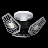 TRiLIGHT 2.0